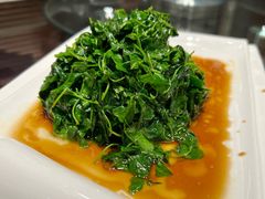 -梅龙镇酒家(南京西路总店)