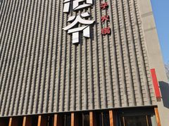 -浩爷羊蝎子火锅(望京店)