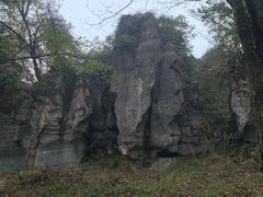 -山王坪喀斯特国家生态公园