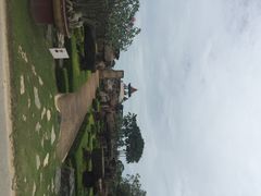 iphone_upload_pic-东芭乐园