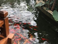 -汤山翠谷生态餐厅