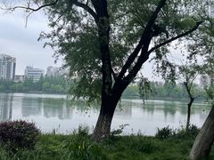 -沙市市中山公园
