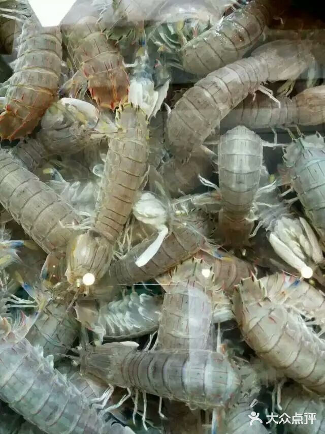 亨泰海鲜·火锅(武夷山路店)-虾虎-菜-虾虎图片-青岛美食-大众点评网