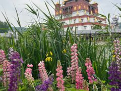 -灵山胜境