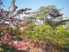 -佛山华盖山公园