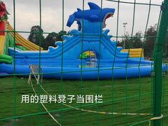 -秀丽东方