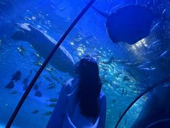 -左海海底世界