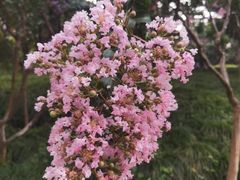 -后襄河公园