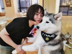 -Husky Go! 哈士奇体验馆·宠物咖啡厅狗咖