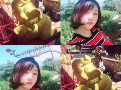 -大树秋千