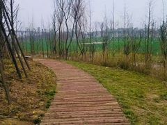 -白鹭湾湿地公园