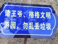 -珠海圆明新园