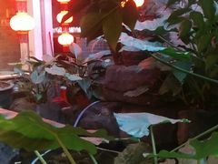 景观位-汇景花园酒家(基立下道店)