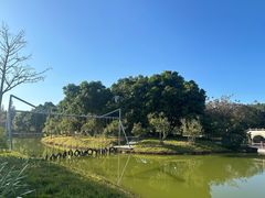 -森波拉奇妙世界