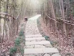 -杭州半山国家森林公园