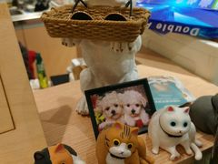 -Pets First伊珊娜洗护·精致美容·家庭式寄养(新会路店)