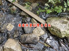 -白水寺森林公园
