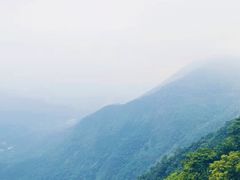 -梧桐山风景名胜区