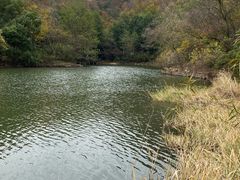 -白马涧龙池景区
