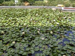 -上海浦东由由信福养老院