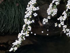 -中国茶叶博物馆(双峰馆区)