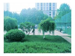 -后襄河公园