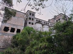-广东花都湖国家湿地公园