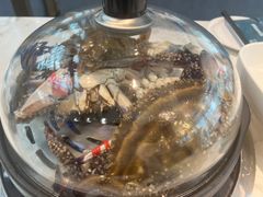 -半岛听涛蒸汽海鲜自助(K11店)