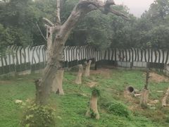 -西安秦岭野生动物园