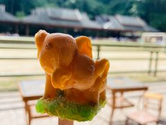 -野象谷景区