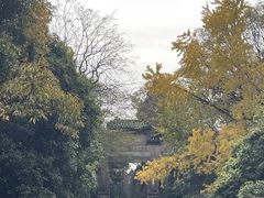 -灵谷景区