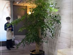 -眉州东坡(通州店)