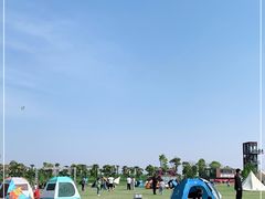 -春花秋色城市公园