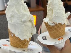 -野人先生Gelato(上海长宁龙之梦店)