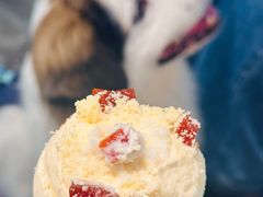 -红楼HONGLOU Gelato(淮海中路店)