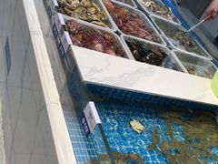 -大锅强·蒸海鲜青岛菜(吾悦广场店)