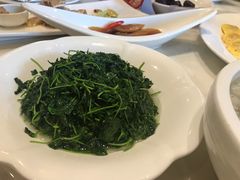 -紫阳富豪大酒店(惠南店)