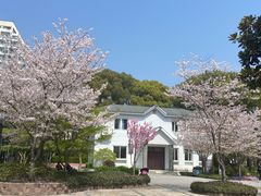 -松沪名灶·豆浆鱼头·新上海菜(江川路交大店)