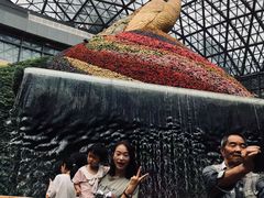 -花之城