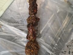 -灿哥羊汤(果园店)