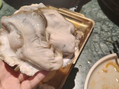 -牛New寿喜烧(金鹰世界店)