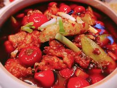 -佳兰雅序融合菜(高新店)