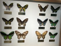 -上海昆虫博物馆