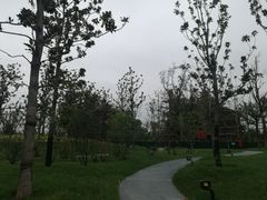 -秦文明广场
