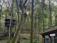 -富春桃源风景区