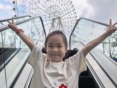 -南昌之星摩天轮