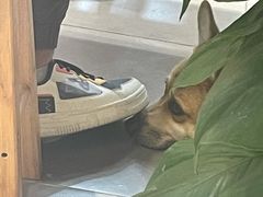 -阿木舂记·特色小吃(平江路店)