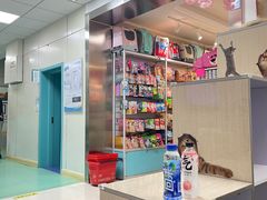 -北京观赏动物医院·24小时大型综合·猫专科·异宠专科