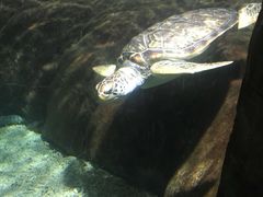 -福州罗源湾海洋世界旅游区