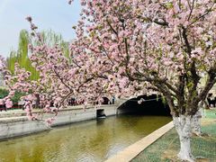 -元大都城垣遗址公园